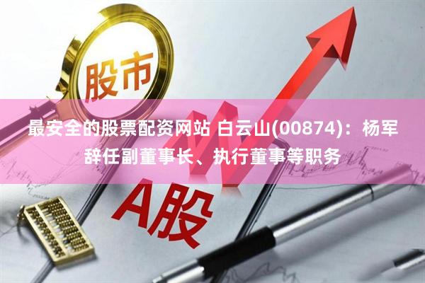 最安全的股票配资网站 白云山(00874)：杨军辞任副董事长、执行董事等职务